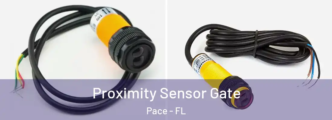 Proximity Sensor Gate Pace - FL